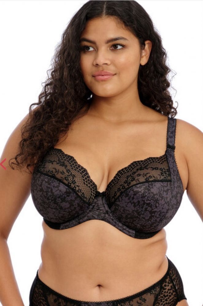 Elomi Lucie Plunge bra